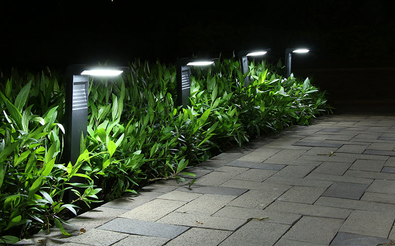 Solar Pathway Light 2 Pack