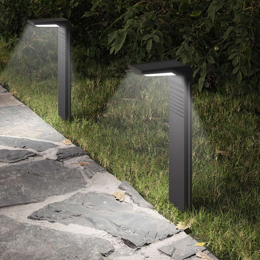 Solar Pathway Light 2 Pack